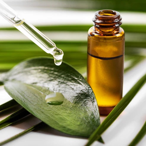 Tea Tree (AAA) Essential Oil