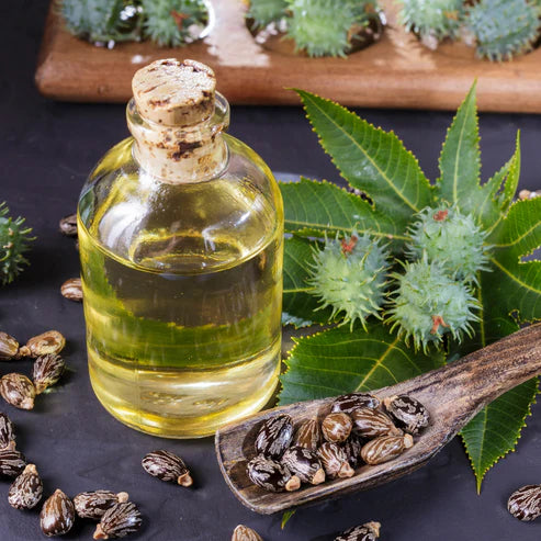 Castor ( Extra Virgin) Carrier Oil