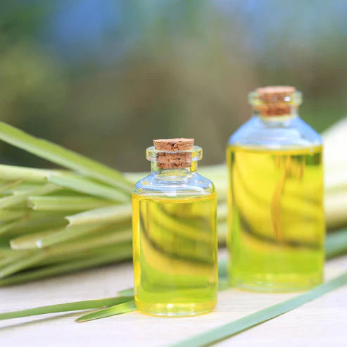 LEMONGRASS - 15 ml/0.5 fl oz. (Pure Essential Oil with Dropper)