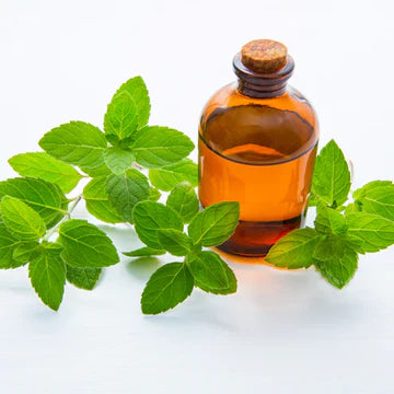 SPEARMINT - 15 ml/0.5 fl oz. (Pure Essential Oil with Dropper)