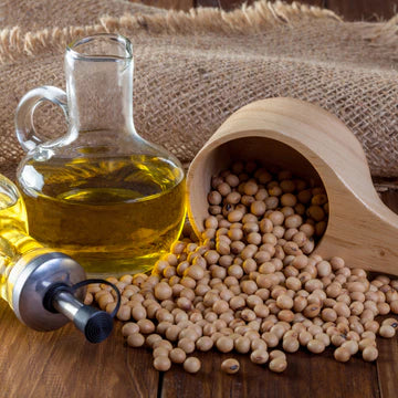 Soyabean Carrier Oil