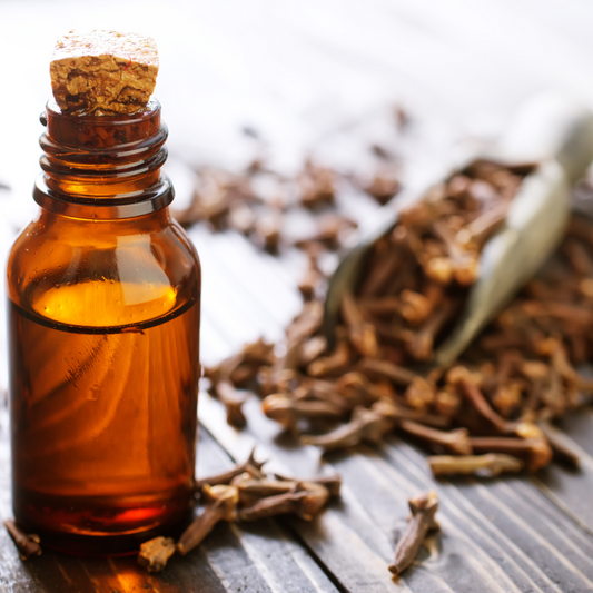 Clove Bud (Indonesian) Essential Oil