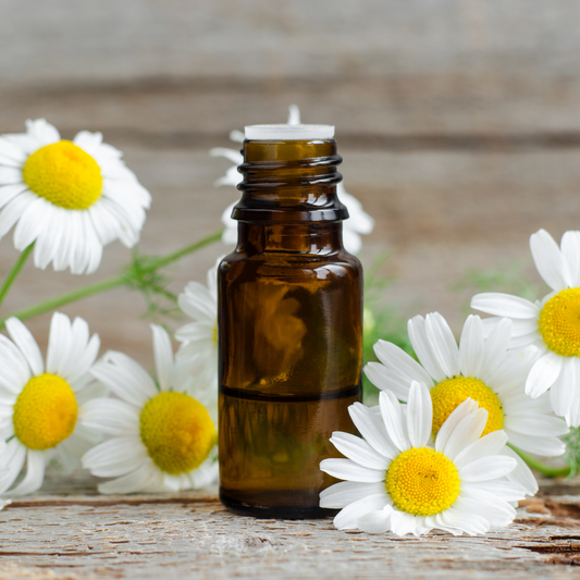 Chamomile Roman (France) Essential Oil