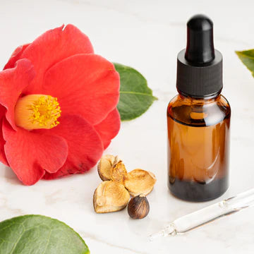 Camellia Seed Carrier Oil