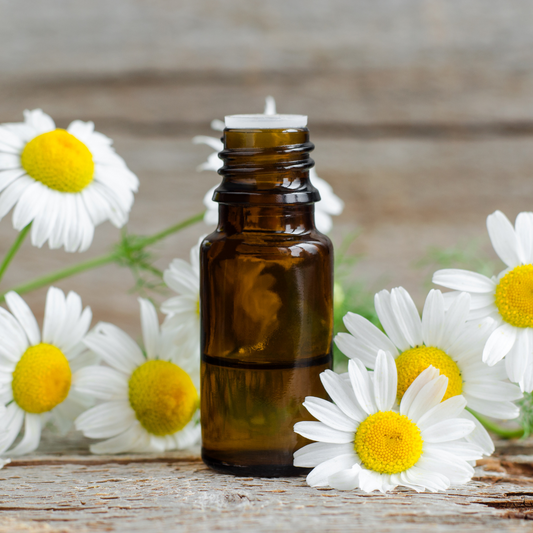 Roman Chamomile Essential Oil