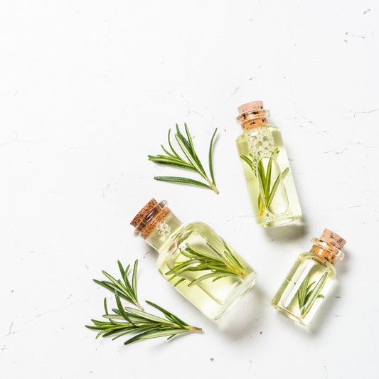 Rosemary (CT Cineole) Essential Oil
