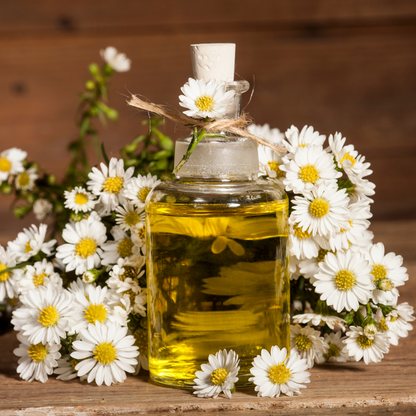 Roman Chamomile Essential Oil