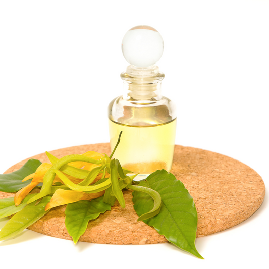 Ylang Ylang #1 Essential Oil