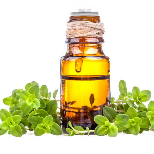 Marjoram (Sweet) Essential Oil