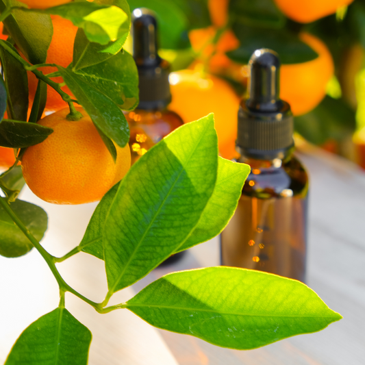 Mandarin (Natural Blend) Essential Oil