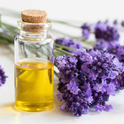 LAVENDER - 15 ml/0.5 fl oz. (Pure Essential Oil with Dropper)