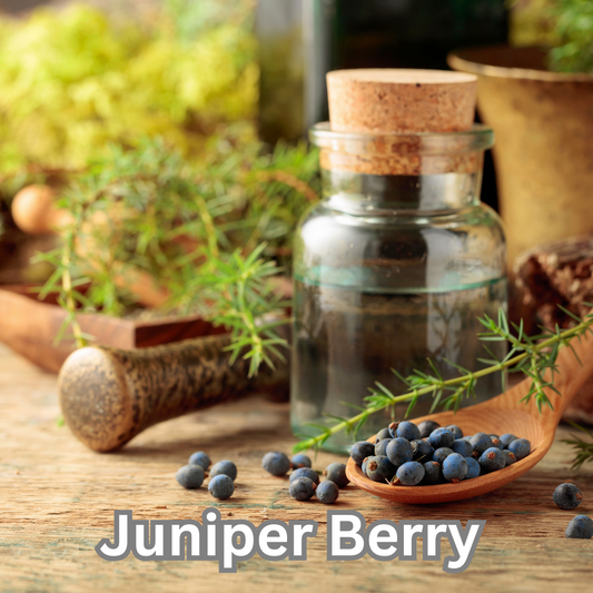 Juniper Berry (Slovenia) EO